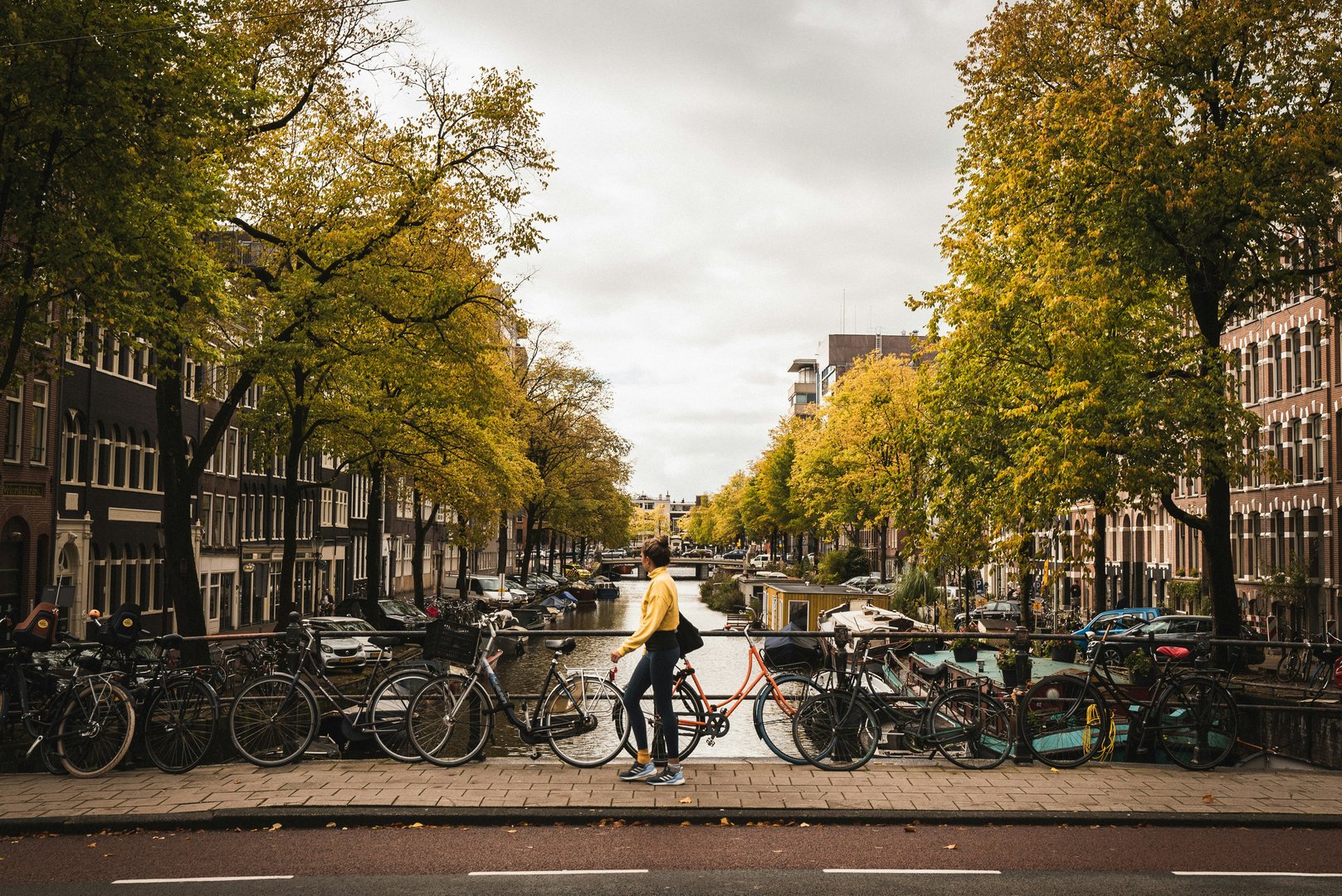 Dutch value added tax (VAT) number application