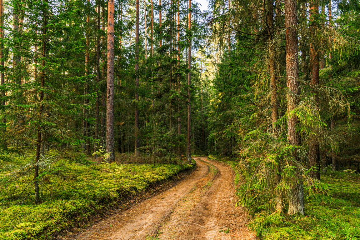 TKEG Expat™ (DE) Corporate Services - Open a local bank account in Lithuania