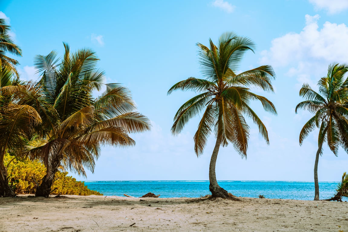 TKEG Expat™ (DE) Corporate Services - Belize Bank Account Opening Assistance