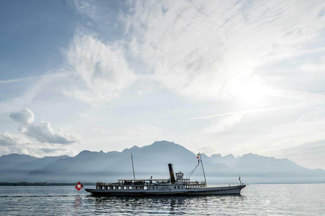 Swiss director nomination