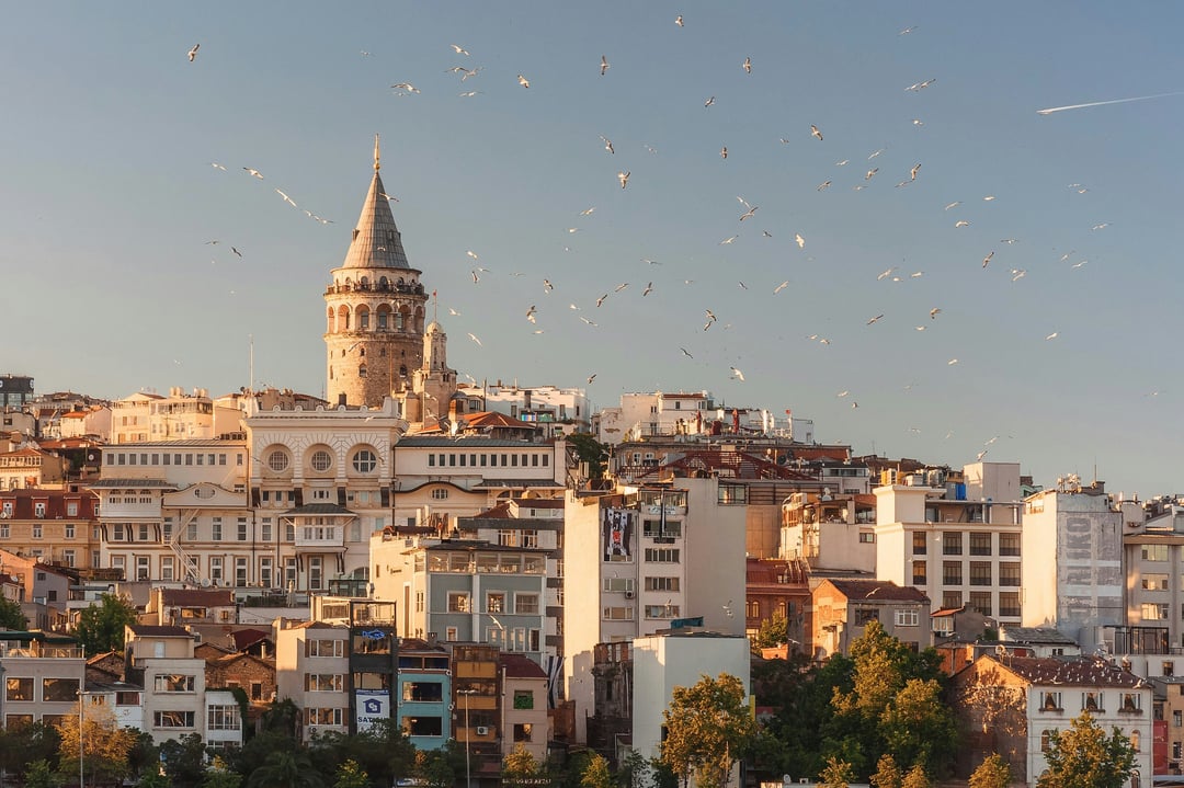 Turkey Basic Accounting