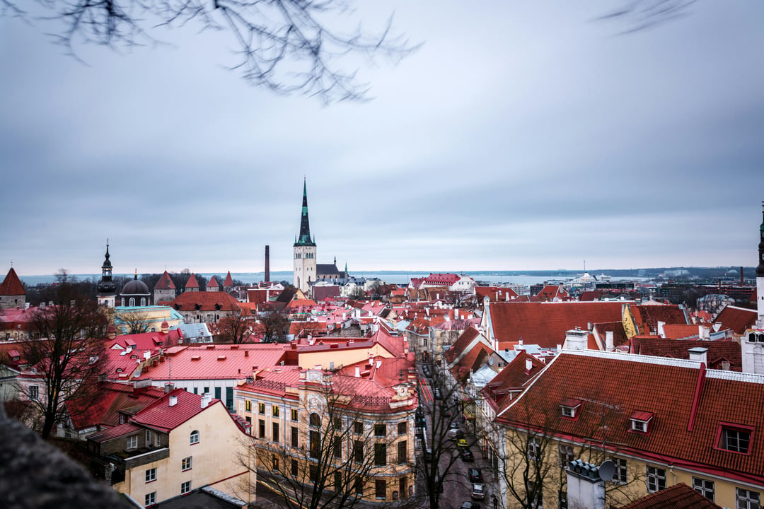 Estonia Corporate Document Extract Set (Translated and Apostille) (Certificate of Good Standing)