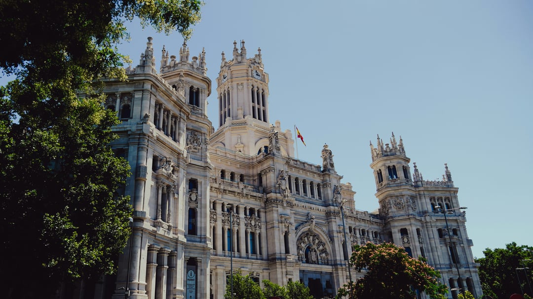 Spain Basic VAT Return