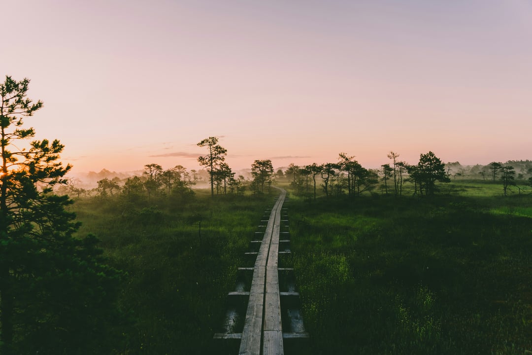 Estonia company registration: forming an OÜ