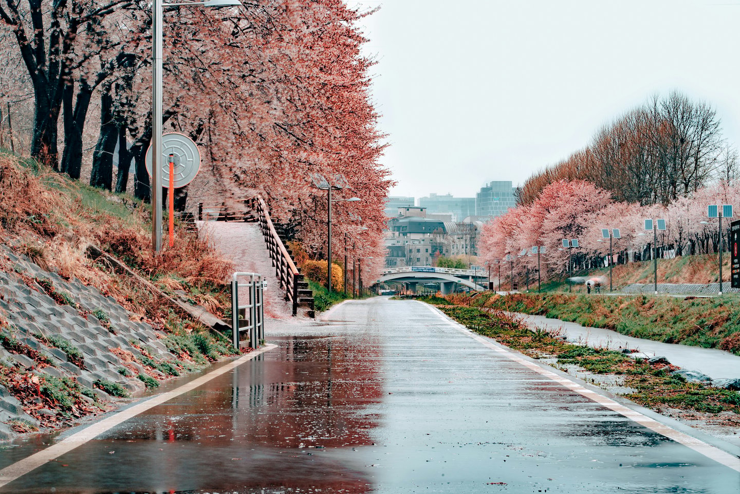 Korea Company Registration (Yuhan Hoesa)