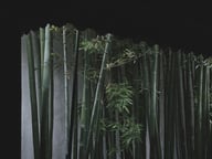 奕資環球企業服務 - 南京一般納稅人會計