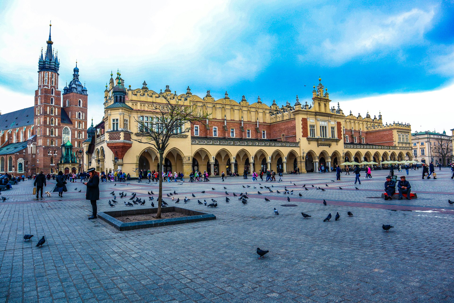 Poland EORI Application