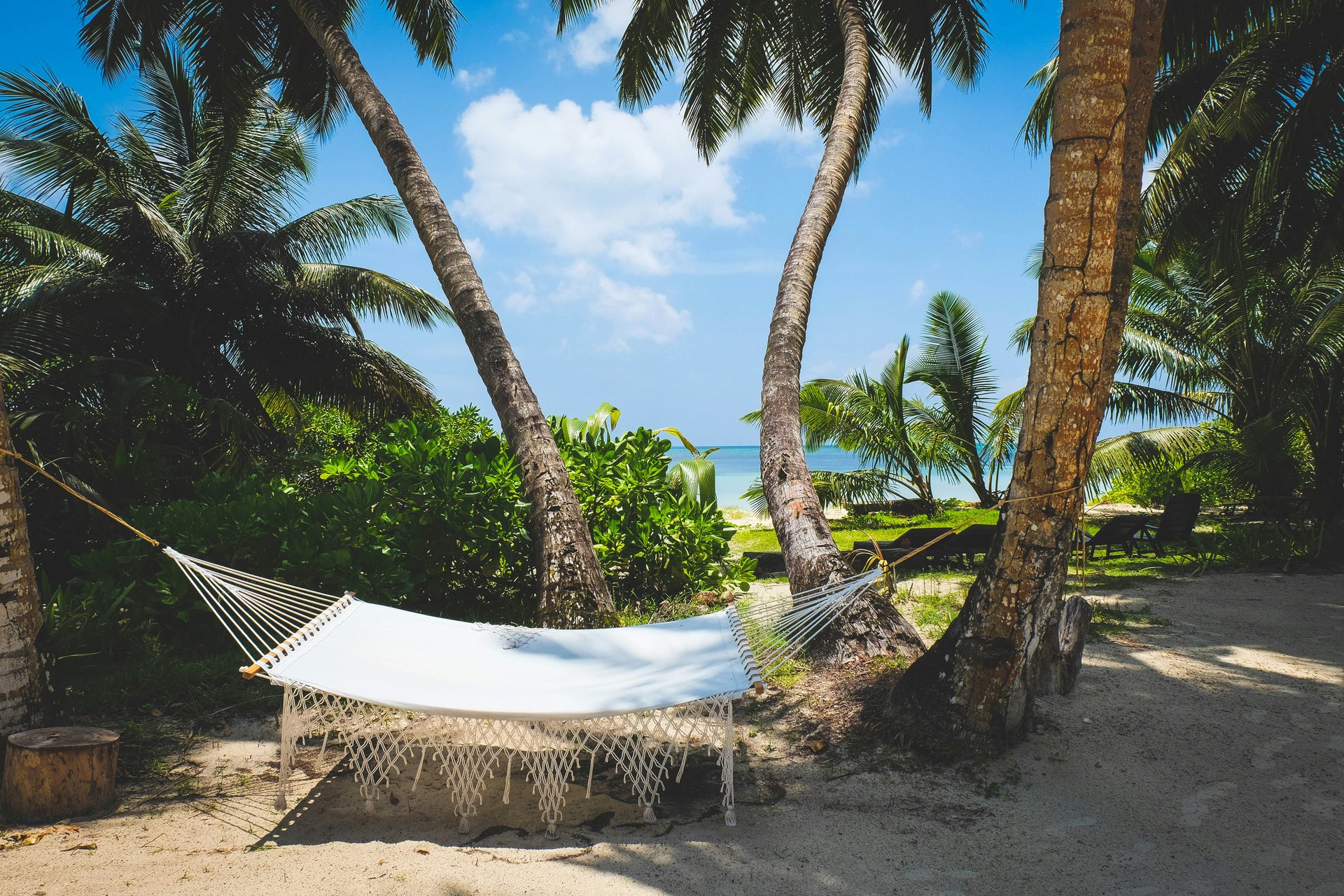 Seychelles company registration