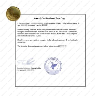 Delivered document 6 from this case study