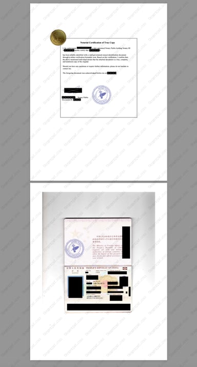 Delivered document 15 from this case study