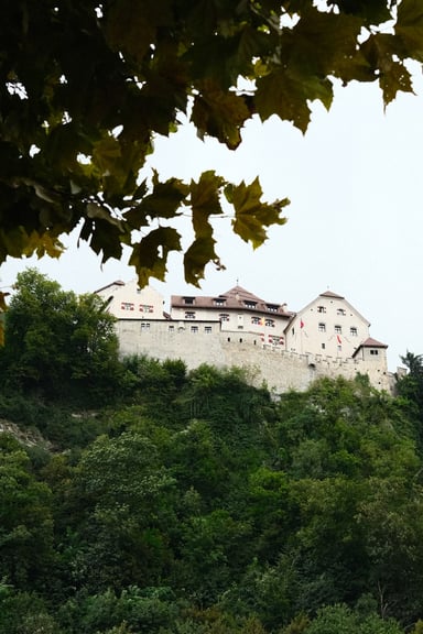 Liechtenstein Corporate Income Tax (CIT)