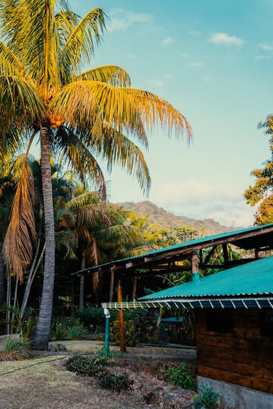 Nicaragua Capital Gains Tax (CGT)