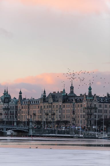 Sweden's Capital Gains Tax (CGT)