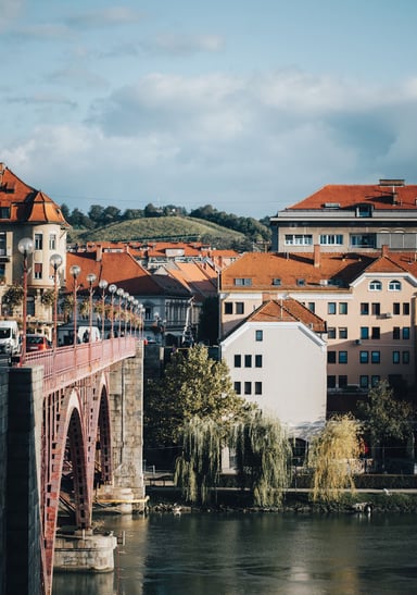 Slovenia's Corporate Income Tax (CIT)