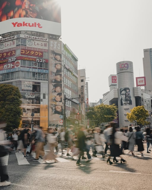 Japan Personal Income Tax (PIT)