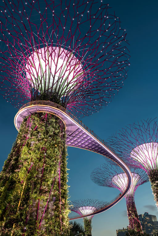 Singapore corporate income tax
