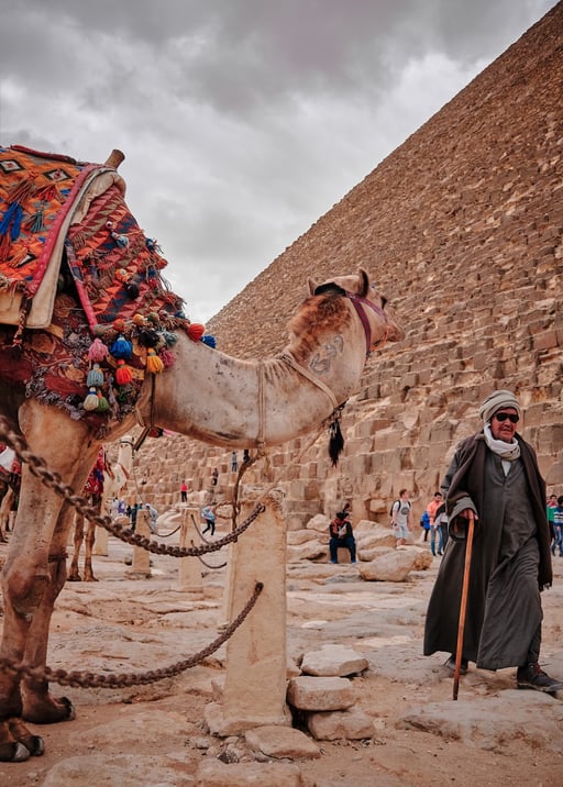 Egypt Customs Duties