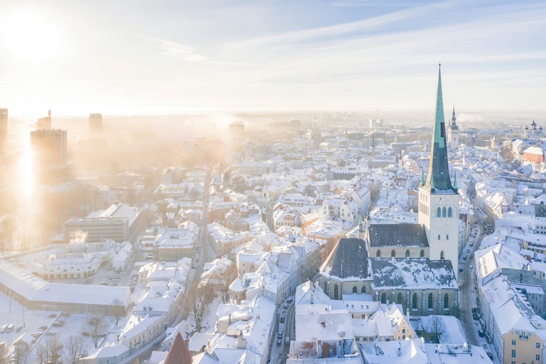 Rapid Entry into the European Market