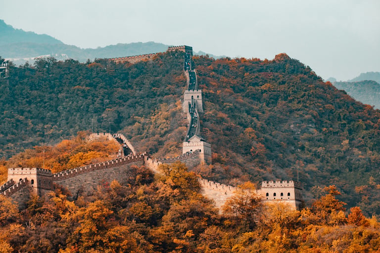 Rapidly Growing Major Economies