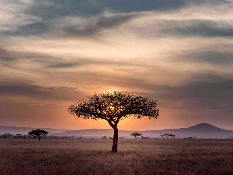 Abundant Natural Resources