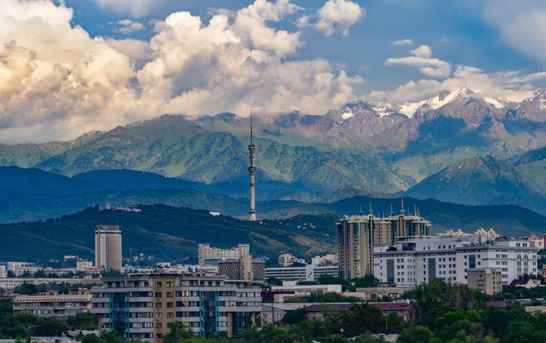 Special Economic Zones (SEZs)