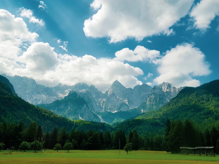 Business-Friendly Environment: