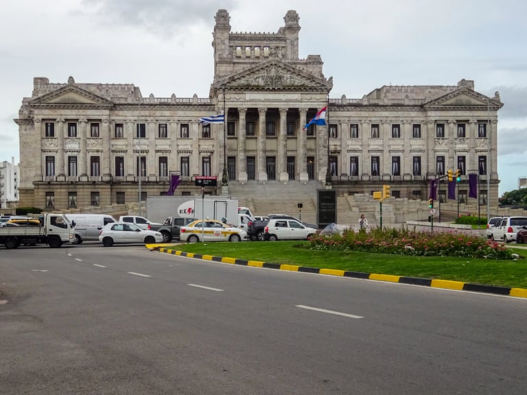 Favorable Tax Regime and Free Trade Zones