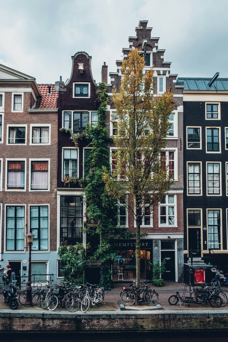Subsidiary BV, branch or NV: choosing the legal form