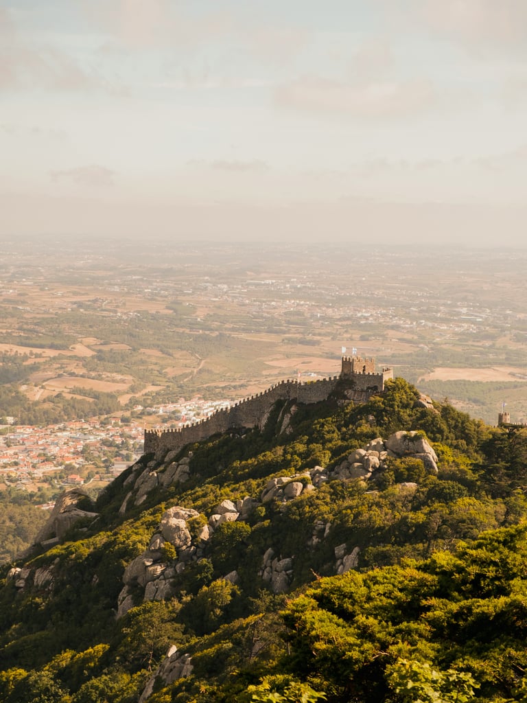 Law or practice: the conditions for Portugal company registration