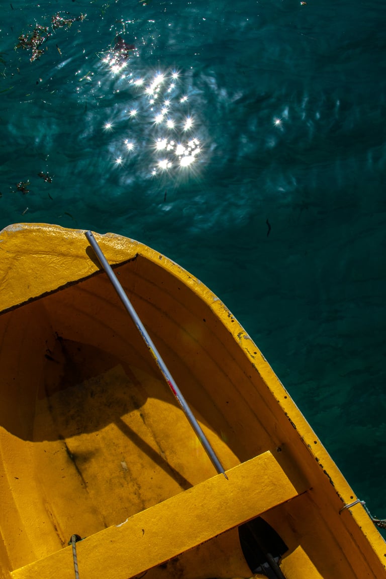 What Seychelles company registration requires, and what sets the cost